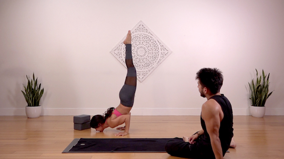 Chin Stand Flow - Online Yoga Class - The Yoga Collective
