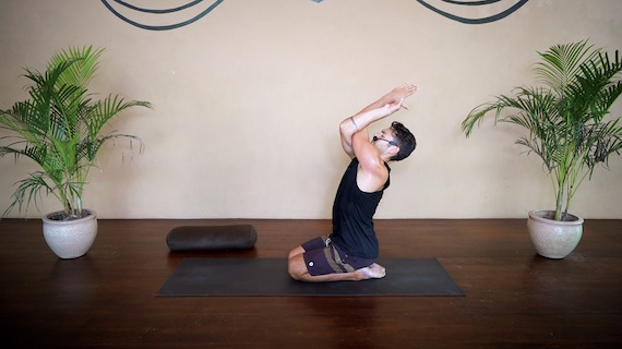 Thoracic Mobility - Online Yoga Class - The Yoga Collective